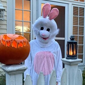 Adult White and Pink Bunny Costume